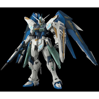 MG 1/100 Freedom Gundam ( Collection Ver. )