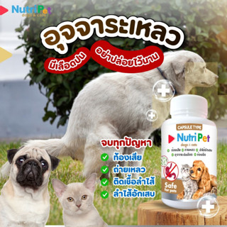 ⚡ส่งไว⚡nutri pets ท้องเสีย ถ่ายเหลว ลำไส้-อักเสบ สำหรับสุนัขและแมว ✅หายไว