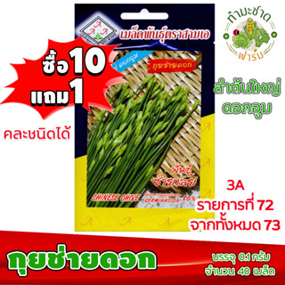 (ซื้อ10แถม1) เมล็ดพันธุ์ กุยช่ายดอก Chinese Chives ประมาณ 40เมล็ด 3A สามเอ กุยฉ่าย กุ้ยช่าย กุ้ยฉ่าย ผักสวนครัว