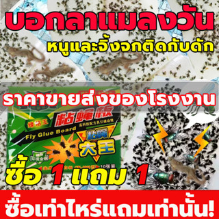 【ซื้อ 1 แถม 1】กาวดักแมลงวัน ไล่แมลงวัน ติดแมลงวันตัวใหญ่ ใช้งานง่าย กาวแน่น กาวเต็มแผ่น มีสารล่อแมลง ​แผ่นกาวดักแมลงวัน