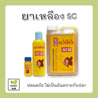 เหลือง SC เยลโล่ลิควิด เน่าเปื่อย ตกเลือด บาดแผล ซึมเบื่ออาหาร เคลื่อนย้ายปลา