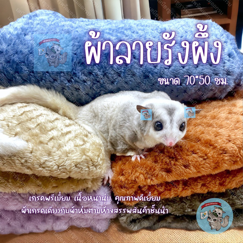 V ( ผ้ารังผึ้ง 70*50ซม. ) Premium ผ้านุ่มนิ่ม ผ้านุ่ม ผ้านุ่มนิ่ม ผ้าขนปุย ผ้าชูการ์ ผ้านุ่มชูก้า ผ้าห่ม