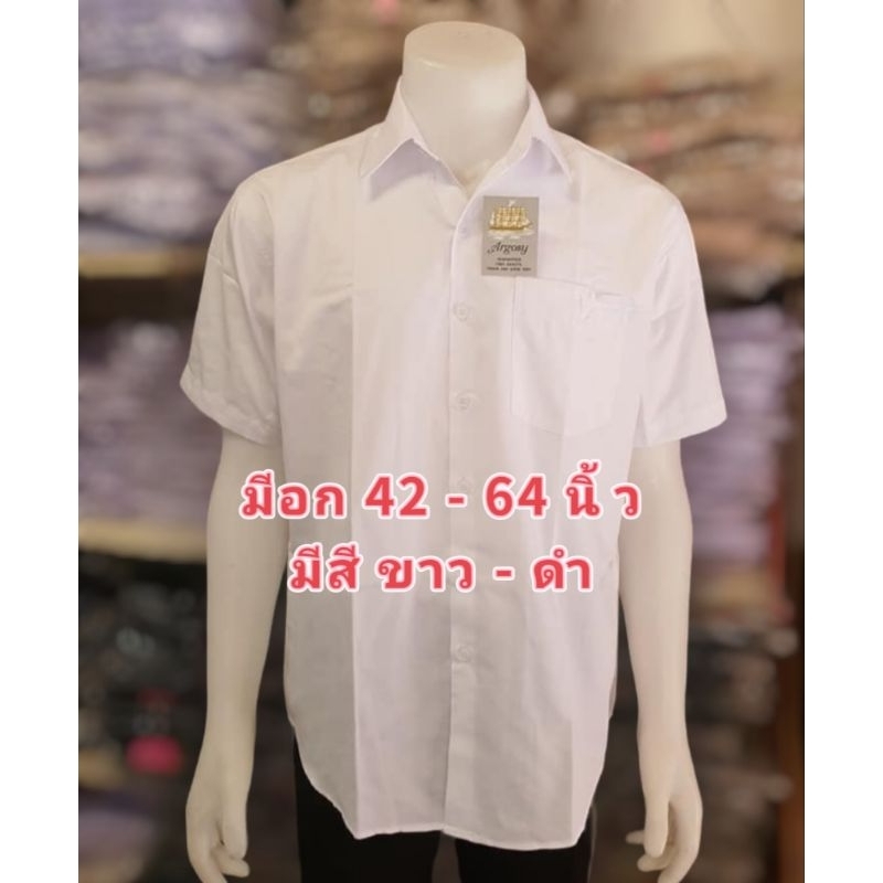 เสื้อเชิ้ตแขนสั้น ใส่ทำงาน ใส่เรียน งานป้าย Argosy เสื้อเชิ้ตไซส์ใหญ่ เสื้อนักศึกษา เสื้อเชิ้ตทำงาน