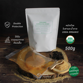 Organic Kombucha Scoby 500g + Group Support | หัวเชื้อน้ำตั้งต้น ชาหมักคอมบูชา คอมบูฉะ และ Invite Groupถามตอบปัญหา-KETO