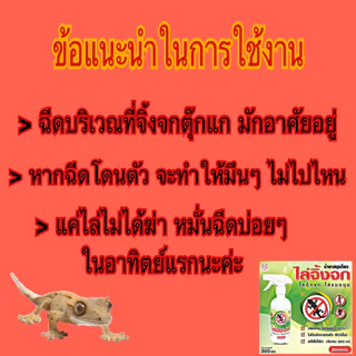 สเปรย์น้ำยาสมุนไพร ไล่จิ้งจก ไล่ตุ๊กแก ไล่แมงมุม และสัตว์ลิ้นสองแฉกทุกชนิด 300 มล. ปลอดภัย ไร้สารเคมี 100% เห็นผลชัดเจน