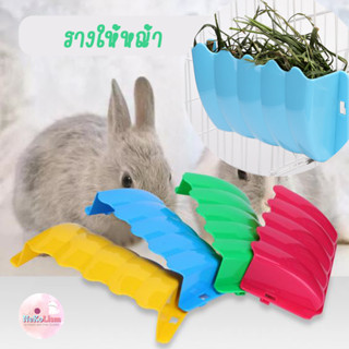 รางให้หญ้ารุ่นใหม่ กระต่าย รางให้หญ้ากระต่าย หนูตะเภา ชินชิล่า Small Rabbit