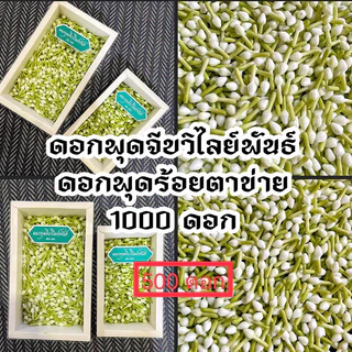 ดอกพุดจีบวิไลย์พันธ์ ดอกพุดพลาสติกพุดร้อยตาข่าย
