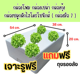 กล่องโฟม กล่องเปล่า กล่องกุ้ง กล่องปลูกผักไฮโดรโปนิกส์ ขนาด 38x54x20 cm. (กล่องมือ 2)