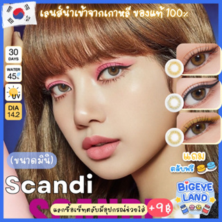 คอนแทคเลนส์ Scandi Brown / Gray / Olive (GAEzZ Secret / Sweety Soft) ขนาดมินิ 🌷 ลายดังจากเกาหลี