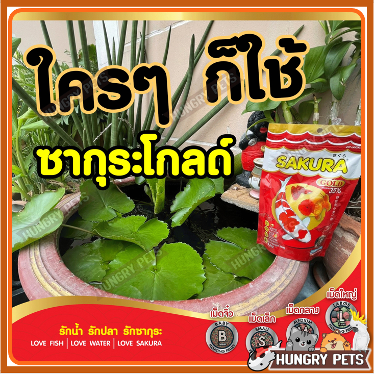 🔥ขนาด 2 KG เพิ่ม +200g.ในถุง🐠สูตรใหม่!! อาหารปลาซากุระ Sakura Gold ขนาด 1 กก. และ 2 กก. รูปที่ 4
