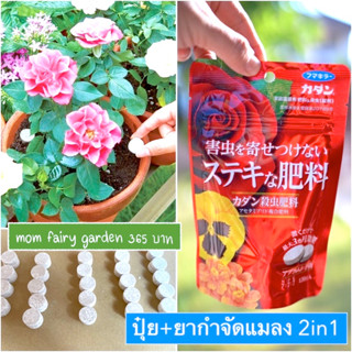 🔥ปุ๋ย+ยากำจัดแมลง48เม็ด ละลายช้า 3 เดือน Kadan Pesticide Fertilizer (Tablet) ฆ่าแมลงและป้องกันการระบาด