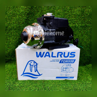 WALRUS ปั๊มน้ำอัตโนมัติ รุ่น TQ800B 1แรงม้า 750วัตต์ 220V ท่อออก 1X1นิ้ว HEADMAX 35เมตร เสียงเงียบ ปั๊มอัตโนมัติ