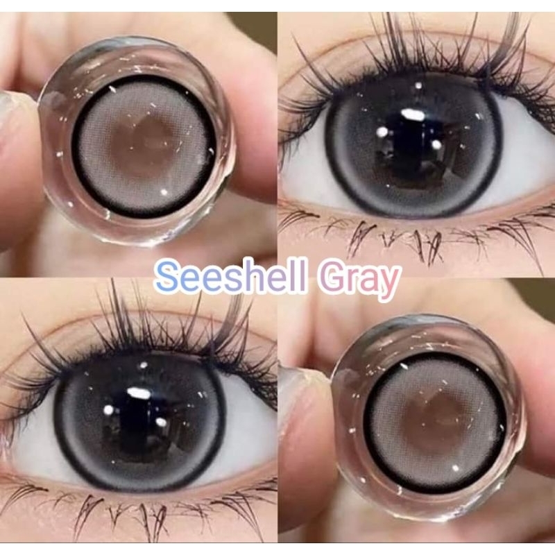 คอนแทคเลนส์ บิ๊กอาย รุ่น Seeshell สีฟ้า/เทา/ตาล Blue/Gray/Brown มีค่าสายตาปกติ (0.00)