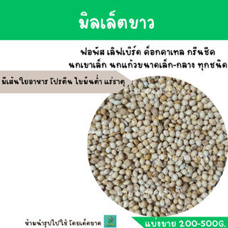 มิลเล็ตขาว(แบ่งขาย 200-500G.) หงษ์หยก ฟิ้นซ์ ซีบร้า กระจอกชวา