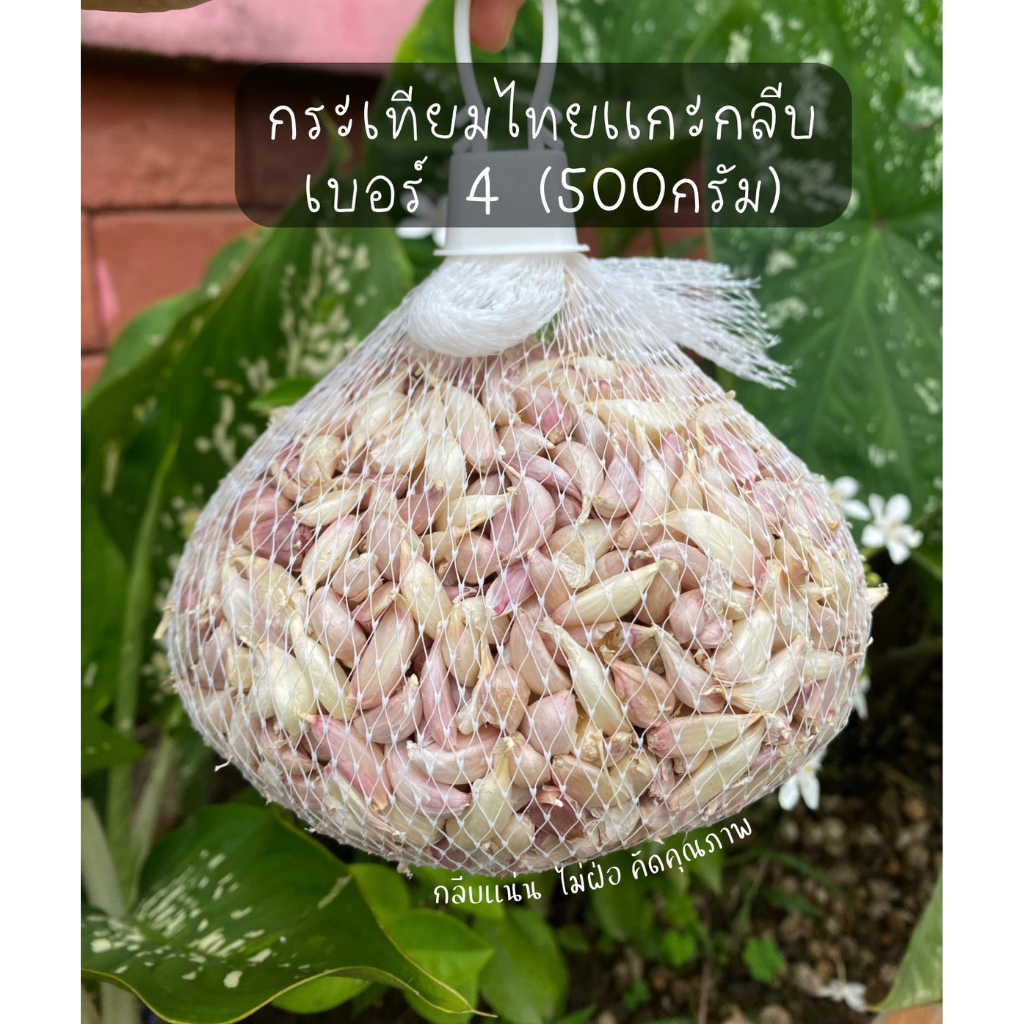 กระเทียมไทยแกะกลีบเล็กสุดเบอร์ (4)