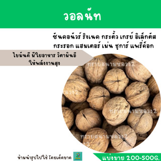 วอลนัท สำหรับสัตว์ฟันแทะ (1 ลูก)