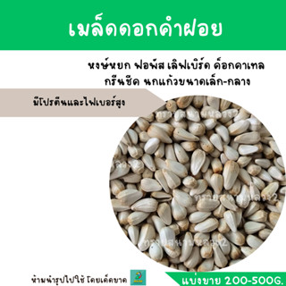 เมล็ดดอกคำฝอย (ทานตะวันขาว) แบ่งขาย 200-500G.