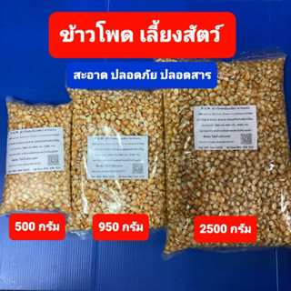 ข้าวโพดเลี้ยงสัตว์ ข้าวโพดเม็ด สะอาด ปลอดภัย ไม่มีสารตกค้าง อาหารนก อาหารไก่ ขนาดบรรจุ 500กรัม-950กรัม