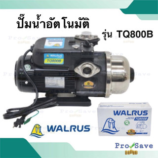 จัดส่งฟรี  WALRUS ปั๊มน้ำอัตโนมัติ รุ่น TQ800B 1 นิ้ว ไม่มีฝาครอบ ปั้มน้ำอัตโนมัติ 750 วัตต์ ปั๊มน้ำออโต้ 1" แมวน้ำ ปั