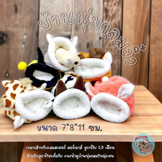 V ( บ้านกลมจิ๋ว ) MINI บ้านนุ่มนิ่ม ที่นอน บ้าน ถ้ำ โดม เบาะ เบาะนอน กระเป๋า ถุงนอน ดอร์เมาส์ สัตว์เล็ก