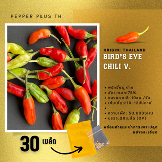 พริกขี้หนู ด่าง เมล็ดพันธุ์ 30 เมล็ด รับประกันด่าง 100% Bird’s eye chili V.