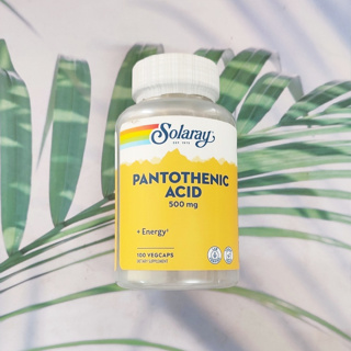 55% OFF ราคา Sale!!! EXP: 12/2023 B5 กรดแพนโทเทนิก Pantothenic Acid 500 mg 100 VegCaps (Solaray®) วิตามินบี 5