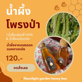 🐝น้ำผึ้งโพรงป่า ของแท้100% 🍯