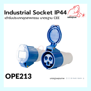 เพาเวอร์ปลั๊กตัวเมีย OPE213 IP44 16A &amp; 32A (230V 2P+E) Industrial Socket แบรนด์ WELSPLUS