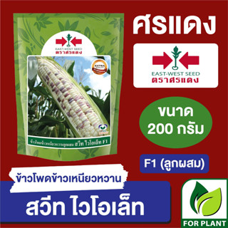 เมล็ดพันธุ์ ผักซอง ศรแดง Big ข้าวโพดข้าวเหนียว 2สี สวีทไวโอเล็ท บรรจุ 200 กรัม