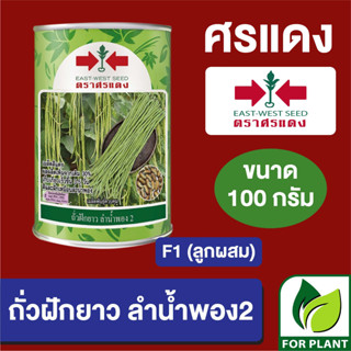 เมล็ดพันธุ์ ศรแดง Big ถั่วฝักยาว ลำน้ำพอง กระป๋อง ขนาด 100 กรัม