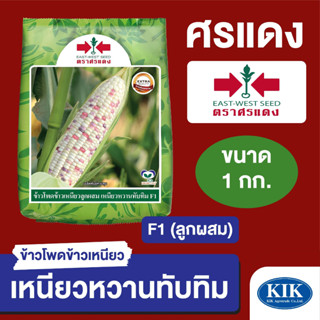 เมล็ดพันธุ์ ผักซอง ศรแดง BIG ข้าวโพดข้าวเหนียว เหนียวหวานทับทิม บรรจุ 1 กิโลกรัม