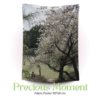 พร้อมส่ง - โปสเตอร์ผ้าตกแต่งห้อง Fabric Poster ลาย Precious Moment sakura