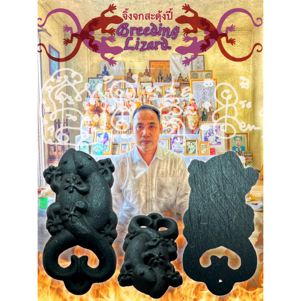 จิ้งจกสะดุ้งปี้, อาจารย์โอ ศักดา, สำนักบ้านต้องมนต์ Breeding Lizard by Arjarn O Sakda, Ban Tong Mon 