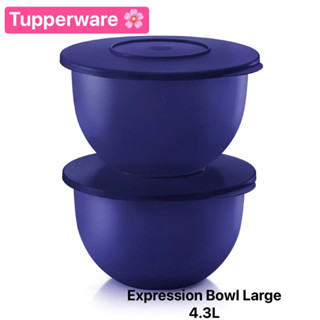 Tupperware รุ่น Expression Bowl Large ขนาด 4.3L