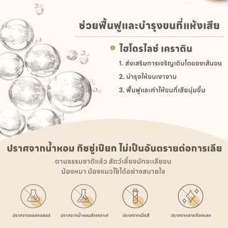 yoyopet : Pet Wipes ทิชชู่เปียกสำหรับสัตว์เลี้ยง สูตรอ่อนโยนพิเศษ ปลอดภัย เส้นใยธรรมชาติ100%