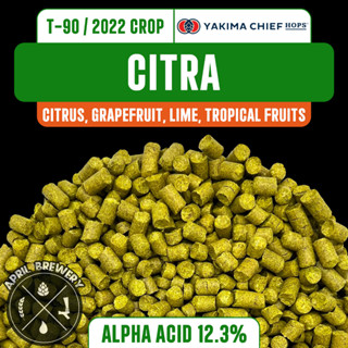 Citra Hops Pellets ฮอปส์ เพลลิท ทำเบียร์​ Pale Ale, IPA และอื่นๆ Homebrew Crop 2022 1oz [Yakima Chief Hops]