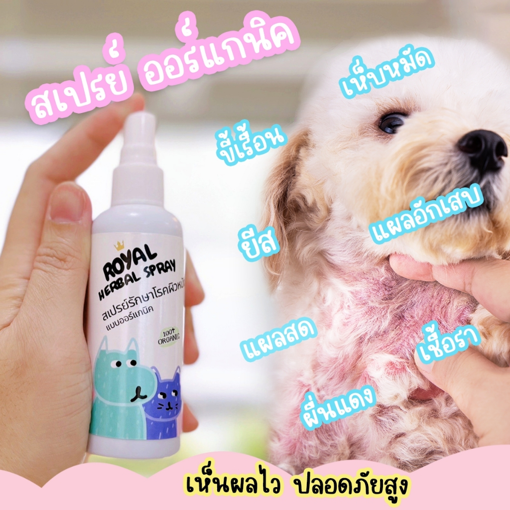 #royalสเปรย์
#รักษาโรคผิวหนังสัตว์
#ขี้เรื้อน
#ปลอดภัยสำหรับสัตว์เลี้ยง
#สมุนไพรไทย