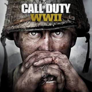 Call of Duty WWII เกม PC Game เกมคอมพิวเตอร์ Downloads USB Flash Drive