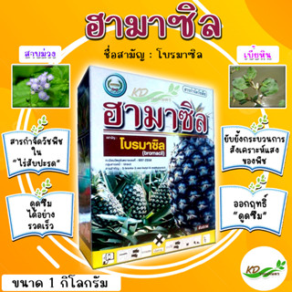 🌱สารกำจัดวัชพืช ฮามาซิล โบรมาซิล (ขนาด 1 กก.) ใช้ในไร่สับปะรด ออกฤทธิ์ดูดซึมเข้าทางรากได้อย่างรวดเร็ว