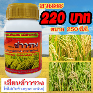 [พร้อมส่ง] เซียนข้าวรวง ข้าวตั้งทอง 250 ซีซี ฮอร์โมนข้าว ปุ๋ยฉีดข้าว อาหารเสริมข้าว ฮอร์โมนพืช ปุ๋ยน้ำ ฮอร์โมน รวงดก