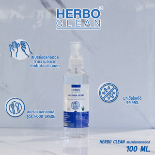 แอลกอฮอลล์ สเปรย์ Alcohol Spray 100ml.