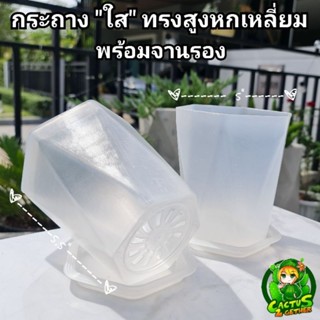 กระถาง"ใส"ทรงสูงปากหกเหลี่ยมขนาด5"×5.5"(แถมจานรอง)