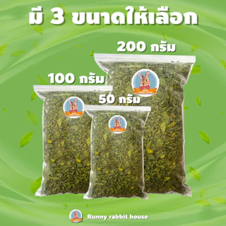 อัลฟาฟ่าคัดใบล้วนอบแห้ง อัลฟาฟ่าคัดใบ เกรดซุปเปอร์พรีเมี่ยม เขียว ใหม่ กรอบ หอม