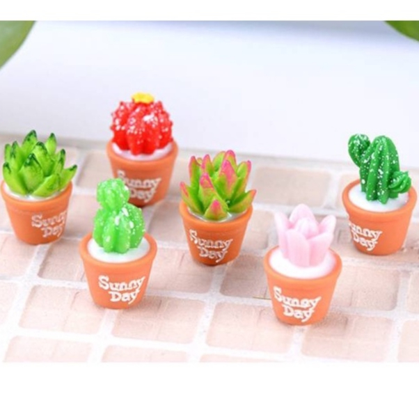 กระถางแคคตัสไม้อวบน้ำ SunnyDay (ราคา/1ชิ้น) อุปกรณ์แต่งสวน จัดแต่งตู้ปลา จัดสวนถาด จัดสวนขวด พร็อพถ่ายรูป