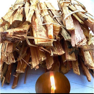 ไม้เกี๊ยะจุดไฟ 2 กก คุ้มค่า จากดอยแม่ฮ่องสอน