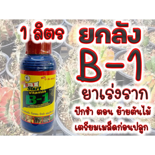 (ยกลัง 1ลิตร 12 ขวด) B1 น้ำยาเร่งราก B-1 บี วัน  ขนาด 1 ลิตร  เร่งราก เเคคตัส กระบองเพชร ต้นไม้ทุกชนิด