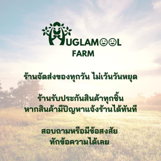 แป้งถั่วลูกไก่ออร์แกนิค ไม่มีกลูเตน 300 800 กรัม จากถั่วลูกไก่แท้ 100% ไม่ผสม แป้งถั่วชิคพี Organic Chickpea powder