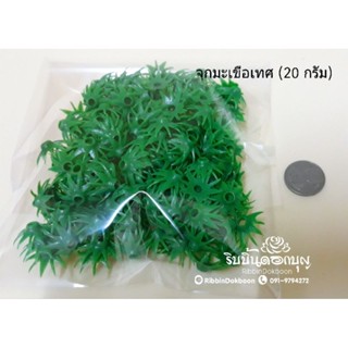 จุกมะเขือเทศ พลาสติก (20 กรัม) , (100 กรัม)