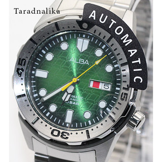 นาฬิกา ALBA Creation Manta ray Automatic AL4443X1