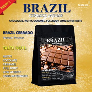 Pangkhon Coffee Roaster เมล็ดกาแฟคั่ว Brazil Cerrado jaguar Natural Pulped Natural Process เมล็ดกาแฟบราซิลคุณภาพสูง